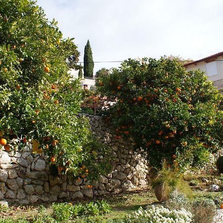 Three Oranges Leilighet Trsteno Eksteriør bilde